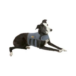 Petlife KarmaWrap Für Hunde -Haustierprodukte petlife karmawrap hond 154186 0500 none