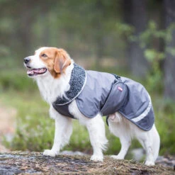 Pomppa Perus Hundejacke -Haustierprodukte pomppa perus hondenjas 215732 0500 none