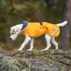 Pomppa Perus Hundejacke -Haustierprodukte pomppa perus hondenjas 215738 0500 none