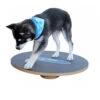 FitPAWS Wobble Board -Haustierprodukte product fitpaws wobble board none 4 1470905070 76051