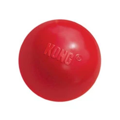KONG Ball -Haustierprodukte product kong ball none 4 1466058812 69915