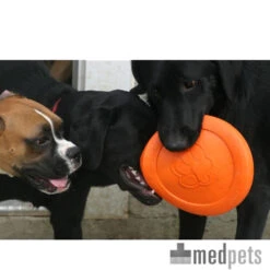 Zogoflex Zisc - Flying Disc -Haustierprodukte product zogoflex zisc flying disc medpets 4 1403102255 8220