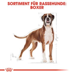 Royal Canin Boxer Adult - Hundefutter -Haustierprodukte royal canin boxer adult hondenvoer 137410 0500 none