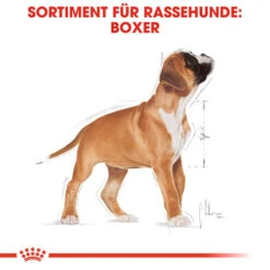 Royal Canin Boxer Puppy - Hundefutter -Haustierprodukte royal canin boxer puppy hondenvoer 137491 0500 none