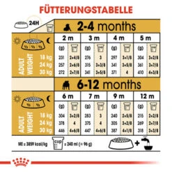 Royal Canin Bulldog Puppy - Hundefutter 16 Royal Canin Bulldog Puppy - Hundefutter -Haustierprodukte royal canin bulldog puppy hondenvoer 137776 0500 none