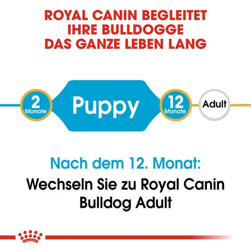 Royal Canin Bulldog Puppy - Hundefutter 7 Royal Canin Bulldog Puppy - Hundefutter – Bild 5