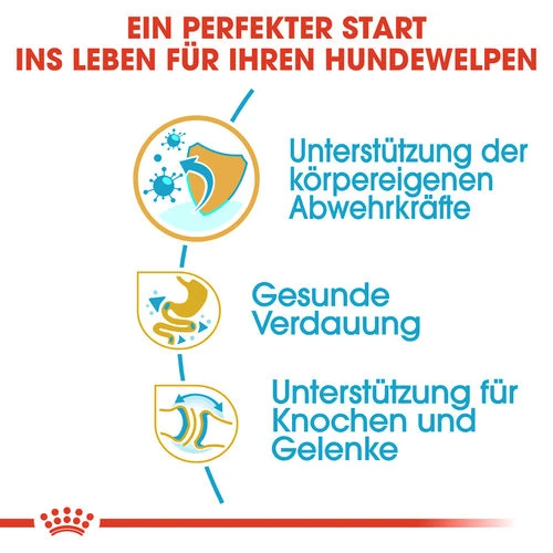 Royal Canin Bulldog Puppy - Hundefutter 4 Royal Canin Bulldog Puppy - Hundefutter – Bild 2