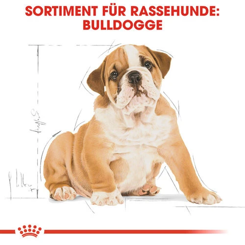 Royal Canin Bulldog Puppy - Hundefutter 6 Royal Canin Bulldog Puppy - Hundefutter – Bild 4