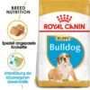 Royal Canin Bulldog Puppy - Hundefutter 2 Royal Canin Bulldog Puppy - Hundefutter -Haustierprodukte royal canin bulldog puppy hondenvoer 137848 0500 none