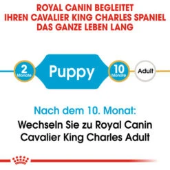 Royal Canin Cavalier King Charles Puppy - Hundefutter 15 Royal Canin Cavalier King Charles Puppy - Hundefutter -Haustierprodukte royal canin cavalier king charles puppy hondenvoer 137905 0500 none