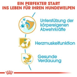 Royal Canin Cavalier King Charles Puppy - Hundefutter 12 Royal Canin Cavalier King Charles Puppy - Hundefutter -Haustierprodukte royal canin cavalier king charles puppy hondenvoer 137923 0500 none