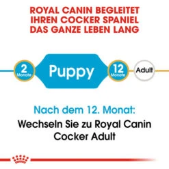 Royal Canin Cocker Puppy - Hundefutter 14 Royal Canin Cocker Puppy - Hundefutter -Haustierprodukte royal canin cocker puppy hondenvoer 138199 0500 none