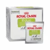 Royal Canin Educ Hund -Haustierprodukte royal canin educ hond 215813 0500 none