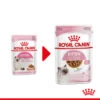 Royal Canin Kitten In Gravy - Katzenfutter -Haustierprodukte royal canin kitten in gravy kattenvoer 207080 0500 none