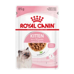 Royal Canin Kitten In Gravy - Katzenfutter -Haustierprodukte royal canin kitten in gravy kattenvoer 207113 0500 none