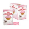Royal Canin Kitten In Jelly - Katzenfutter -Haustierprodukte royal canin kitten in jelly kattenvoer 207143 0500 none