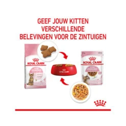 Royal Canin Kitten Sterilised Gelee - Beutel -Haustierprodukte royal canin kitten sterilised in jelly maaltijdzakje 207212 0500 none