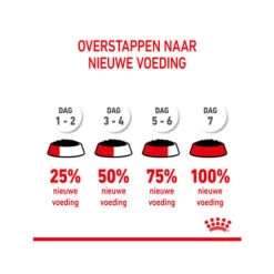 Royal Canin Kitten Sterilised Gelee - Beutel -Haustierprodukte royal canin kitten sterilised in jelly maaltijdzakje 207224 0500 none