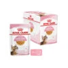 Royal Canin Kitten Sterilised Gelee - Beutel -Haustierprodukte royal canin kitten sterilised in jelly maaltijdzakje 207230 0500 none