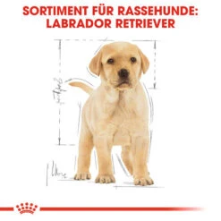 Royal Canin Labrador Retriever Puppy - Hundefutter 13 Royal Canin Labrador Retriever Puppy - Hundefutter -Haustierprodukte royal canin labrador retriever puppy hondenvoer 139438 0500 none