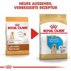 Royal Canin Labrador Retriever Puppy - Hundefutter 15 Royal Canin Labrador Retriever Puppy - Hundefutter -Haustierprodukte royal canin labrador retriever puppy hondenvoer 139456 0500 none
