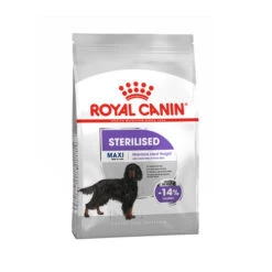 Royal Canin Maxi Sterilised - Hundefutter -Haustierprodukte royal canin maxi sterilised hondenvoer 132650 0500 none