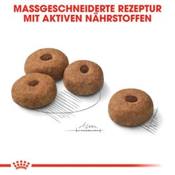 Royal Canin Maxi Sterilised - Hundefutter -Haustierprodukte royal canin maxi sterilised hondenvoer 132680 0500 none