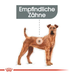 Royal Canin Medium Dental Care - Hundefutter -Haustierprodukte royal canin medium dental care hondenvoer 130922 0500 none