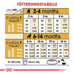 Royal Canin Rottweiler Puppy - Hundefutter -Haustierprodukte royal canin rottweiler puppy hondenvoer 140038 0500 none