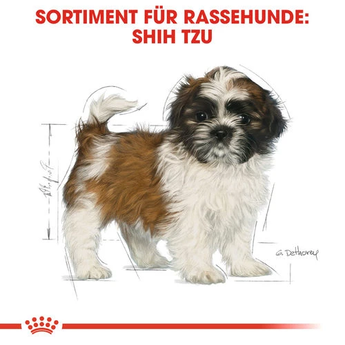 Royal Canin Shih Tzu Puppy - Hundefutter 6 Royal Canin Shih Tzu Puppy - Hundefutter – Bild 4