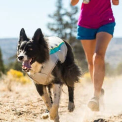 Ruffwear Swamp Cooler 21 Ruffwear Swamp Cooler -Haustierprodukte ruffwear swamp cooler 124703 0500 none