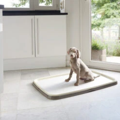 Savic Puppy Trainer + Pads 11 Savic Puppy Trainer + Pads -Haustierprodukte savic puppy trainer pads 163498 0500 none