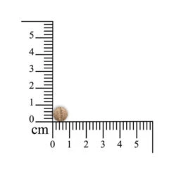 Geria Comfort - Kleine Haustiere -Haustierprodukte sensipharm geria comfort kleine huisdieren 174883 0500 none