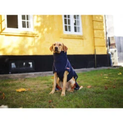 Siccaro WetDog SupremePro -Haustierprodukte siccaro wetdog supremepro 20 216994 0500 none