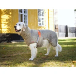 Siccaro WetDog SupremePro -Haustierprodukte siccaro wetdog supremepro 20 216997 0500 none