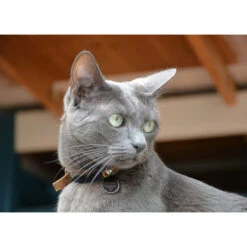 Spotted! Pro Dog & Cat 8 Spotted! Pro Dog & Cat -Haustierprodukte spotted pro dog cat 166915 0500 none