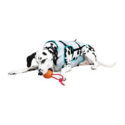 Suitical DRY Cooling Vest -Haustierprodukte suitical dry cooling vest 149882 0500 none