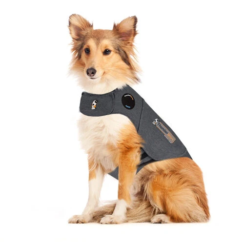 Thundershirt Für Hunde 3 Thundershirt Für Hunde