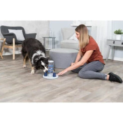 Trixie Dog Activity Gambling Tower -Haustierprodukte trixie dog activity gambling tower 179852 0500 none