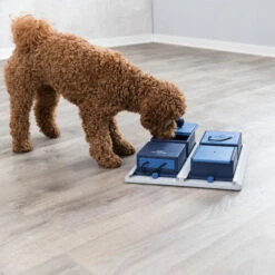 Trixie Dog Activity Poker Box -Haustierprodukte trixie dog activity poker box 222165 0500 none