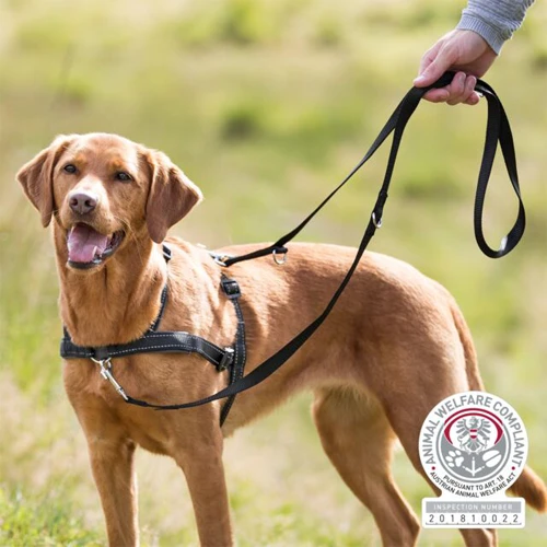 Trixie Lead'n Walk Soft Hundegeschirr 4 Trixie Lead'n Walk Soft Hundegeschirr – Bild 2