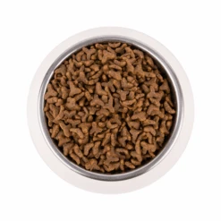 Vetality Gastrointestinal - Katzenfutter -Haustierprodukte vetality gastrointestinal kattenvoer 217720 0500 none