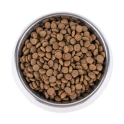 Vetality Hypoallergenic - Hundefutter -Haustierprodukte vetality hypoallergenic hondenvoer 195278 0500 none