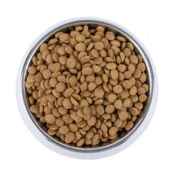 Vetality Skin Support - Hundefutter -Haustierprodukte vetality skin support hondenvoer 195221 0500 none