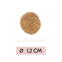 Vetality Skin Support - Hundefutter -Haustierprodukte vetality skin support hondenvoer 195452 0500 none