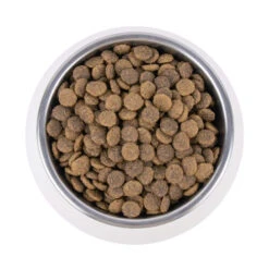 Vetality Urinary - Katzenfutter -Haustierprodukte vetality urinary kattenvoer 195269 0500 none