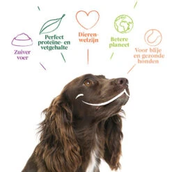 Yarrah - Hundefutter In Soße Vega Mit Hagebutten Bio -Haustierprodukte yarrah bio natvoer hond kuipje chunks vega 200843 0500 none