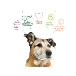 Yarrah - Trockenfutter Senior Mit Huhn, Fisch Und Kräutern Bio -Haustierprodukte yarrah droogvoer hond senior bio 201146 0500 none