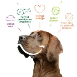 Yarrah - Trockenfutter Sensitiv Mit Huhn Und Reis Bio -Haustierprodukte yarrah droogvoer hond sensitive bio 199148 0500 none