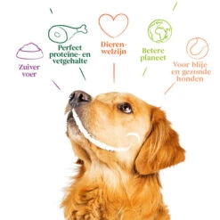 Yarrah - Hundefutter Paté Huhn Mit Spirulina Und Meeresalgen In Soße Bio -Haustierprodukte yarrah natvoer hond blik pat met kip bio 201002 0500 none